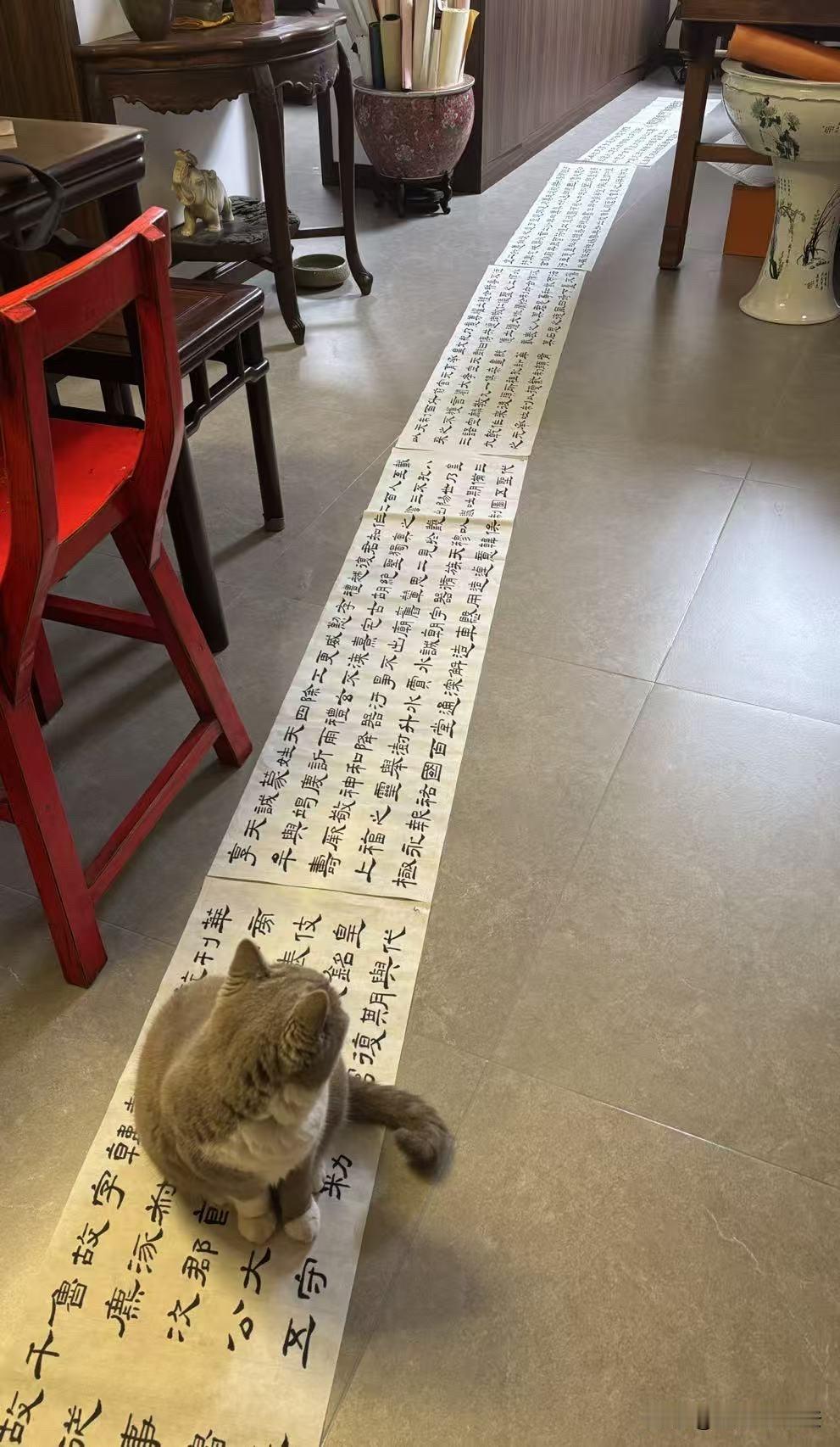 晒出我的手写字回首