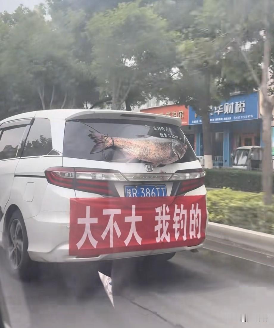 已经问了好多人了，没人知道这车牌来自哪个市？哪个省？