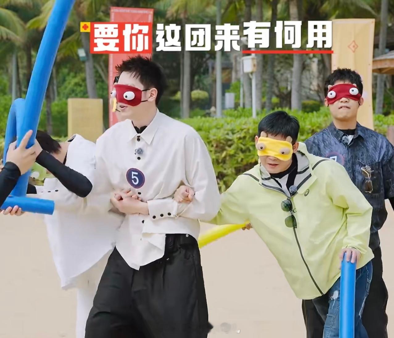 显得过于娇小了[兔子] 