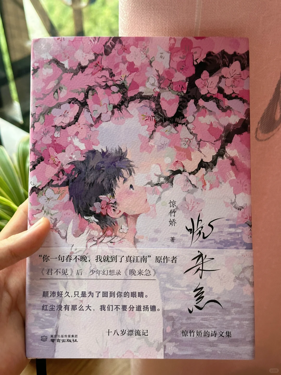 一眼沦陷！！我真的太爱这本书的文笔了💕