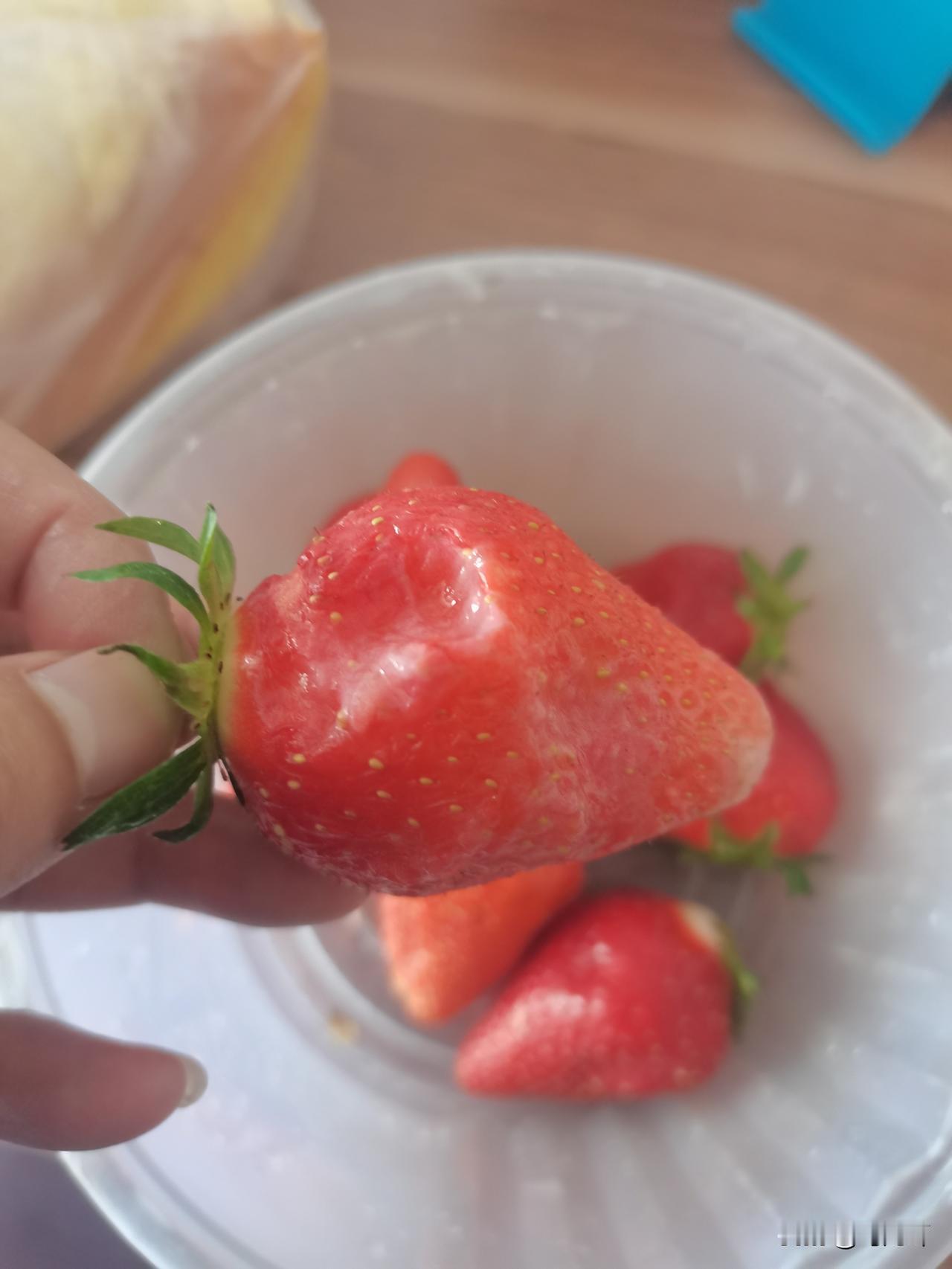 避坑！草莓最好不要买特大个的，因为都是科技与狠活，买了就上当，巨难吃。

今天上