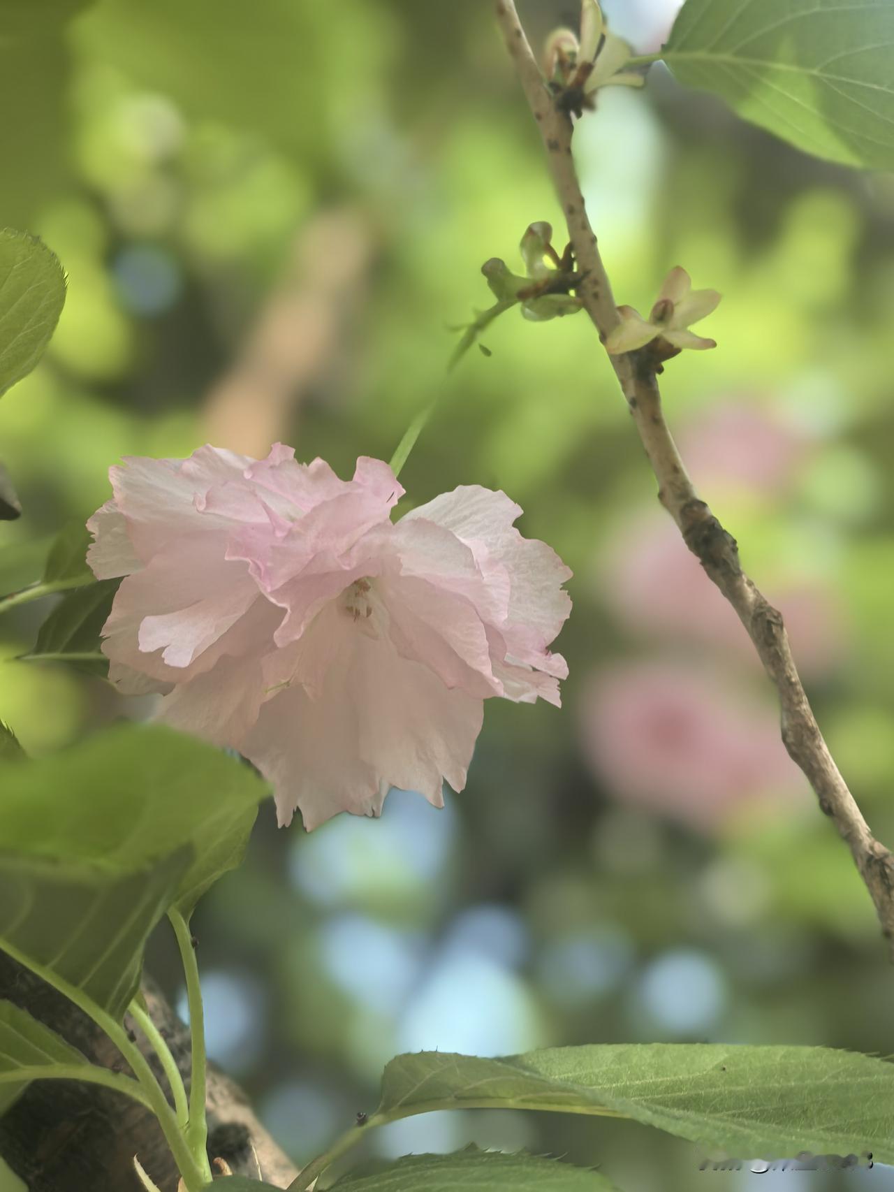 最近看了两个剧，《隐身的名字》和《危险关系》。一度让我很不舒服，心里面很紧。
