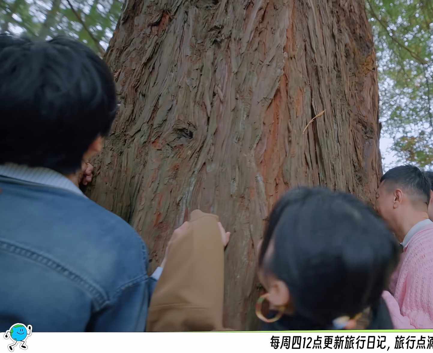 合作两个综艺肢体接触为0哈哈哈哈哈哈哈哈哈哈哈 