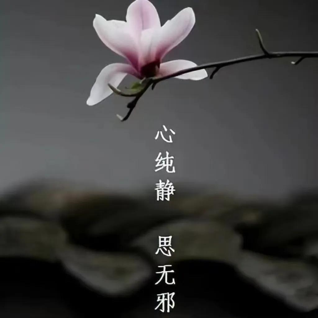 冬日生活打卡季