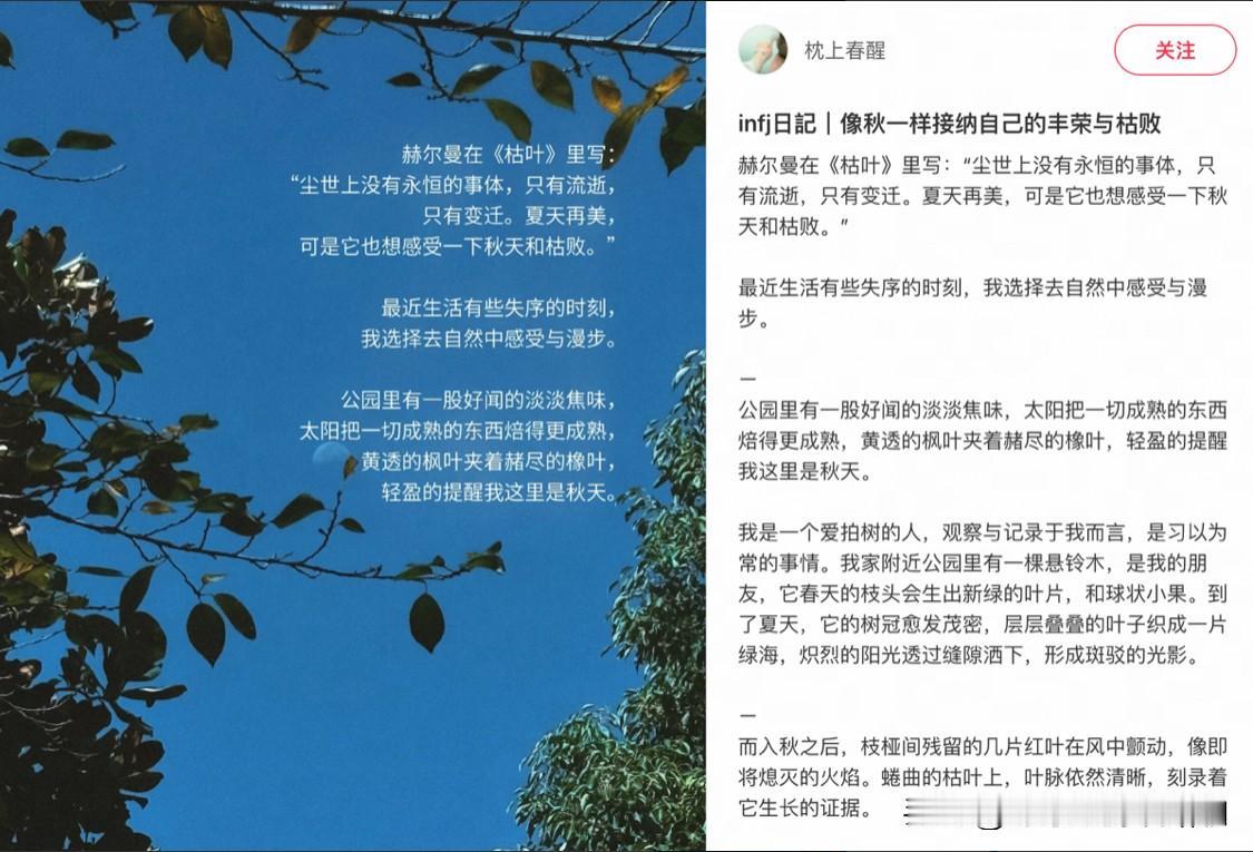 在小红书读到一段让我豁然开朗的文字：“尘世上没有永恒的事体，只有流逝，只有变迁。