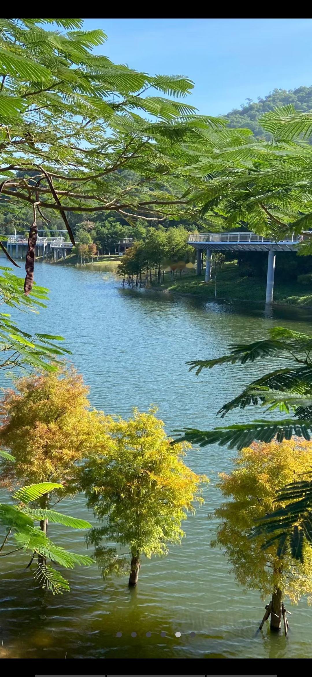 胡笑笑今日发布了视频，刚红已然适应了养老院的生活，不再依赖他人。如此一来，笑笑能