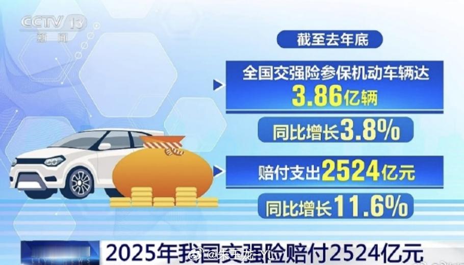 交强险经营亏损两百多亿  交强险收保费 2852 亿，赔出去 2524 亿，加上