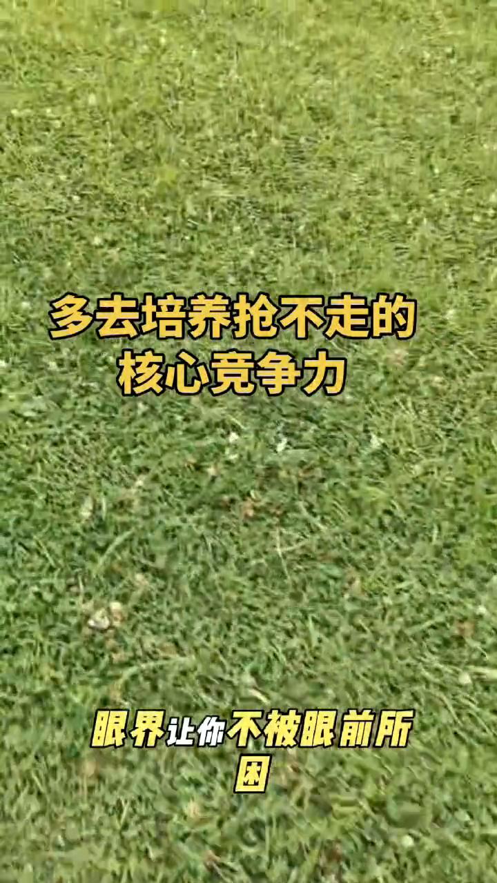 多去培养抢不走的核心竞争力。
人一定要多去培养那些别人抢不走的东西。
·才华让你