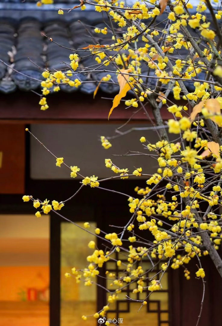 腊梅种植方法1. 土壤：选用疏松肥沃、排水良好的微酸性沙质土壤，可按4园土:3腐