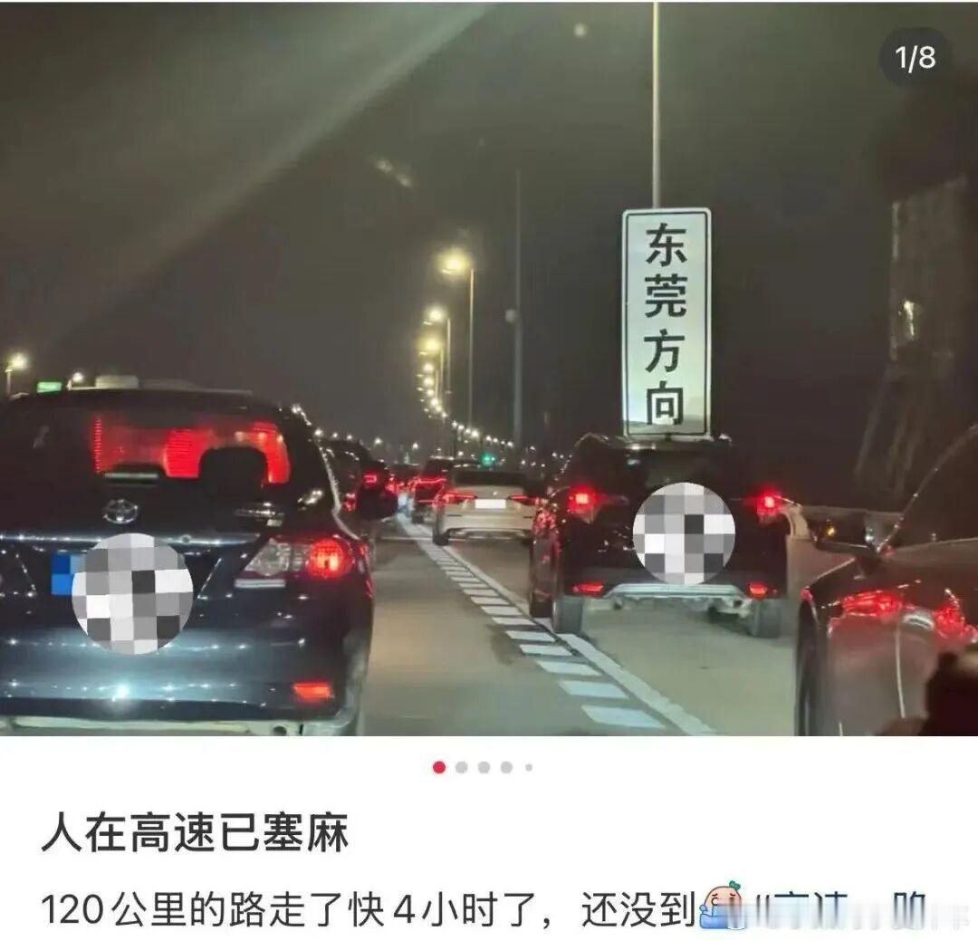 大聪明已经提前到5号返程了 想问问各位已经回到家了吗本来车程有没有翻倍真的假期越