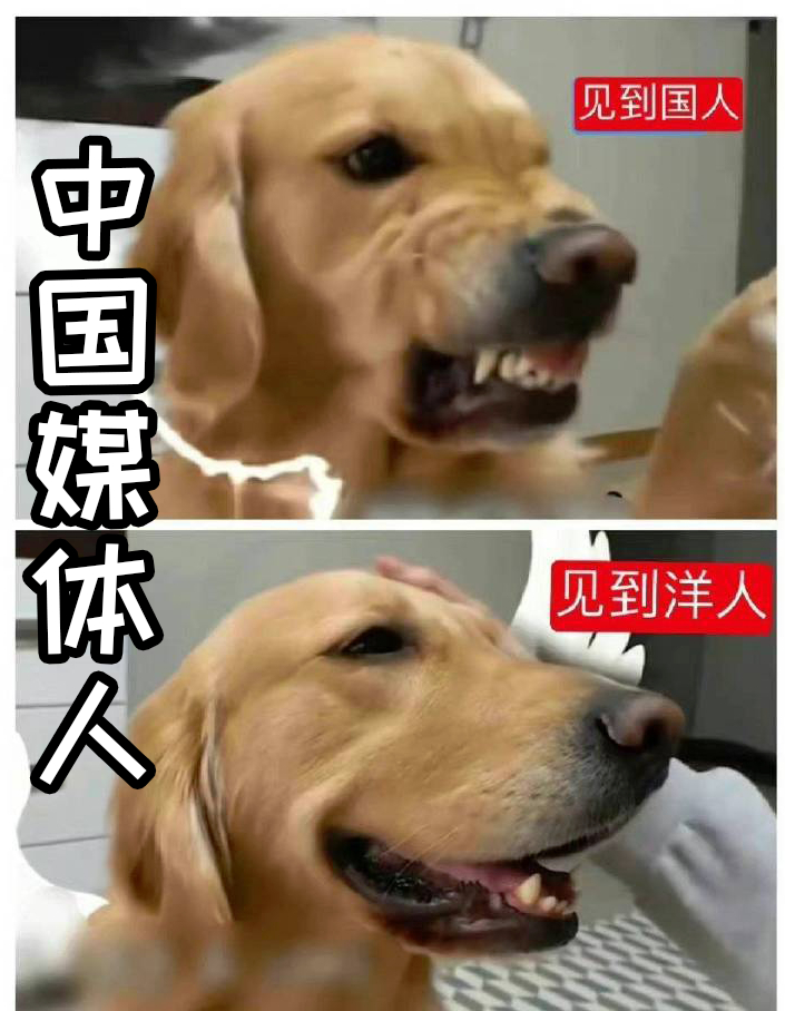 看到环球骗狗一本正经的帮VOA去维护美国立场攻击中国网友的时候，你就应该知道中国