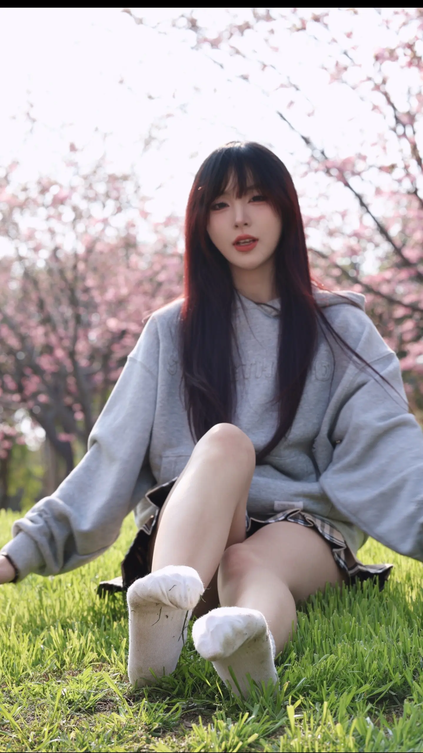 春天的樱花是粉红色泡泡
