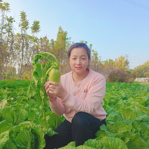 奋斗鸭叔说农业