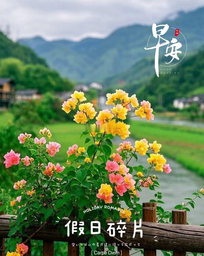🍃慢享晨光，闲度假期。早安，愿你今天一切顺心，开心加倍！🥞在休假中开心😁岑