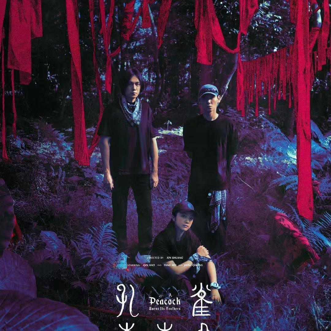 秦昊汤唯领衔主演领衔主演秦昊汤唯秦昊汤唯领衔主演，如何，