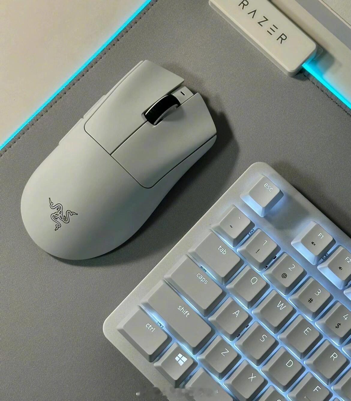 京东月黑风高游戏笔记本5折 本来只想换个鼠标，结果一看全是半价…完了，感觉钱包要