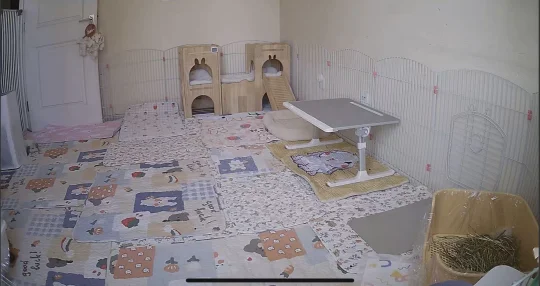 益智小游戏：找孩子