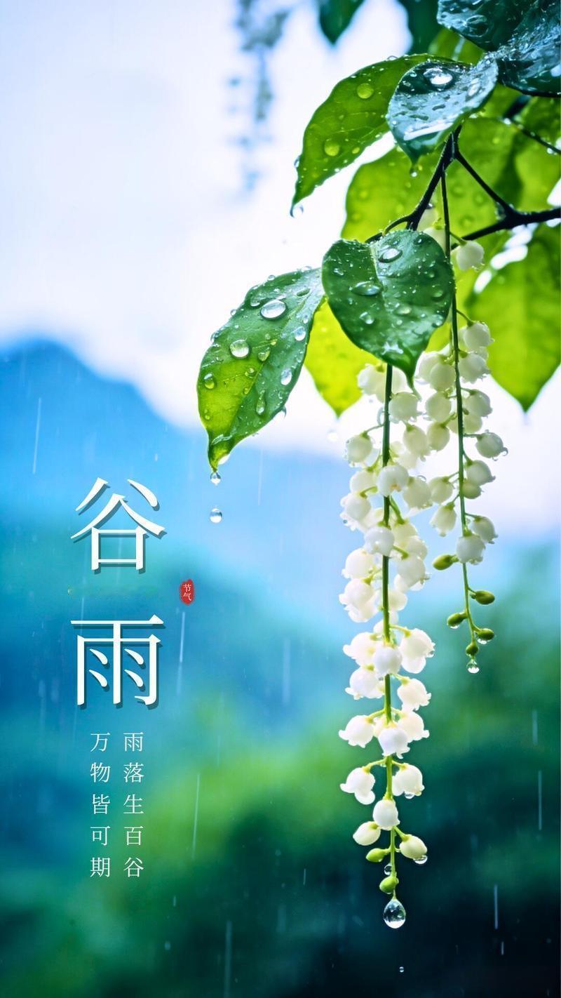 今日谷雨，春季最后一个节气，“谷雨安康，顺风顺水”，此时养生仍要注意以下几个方面