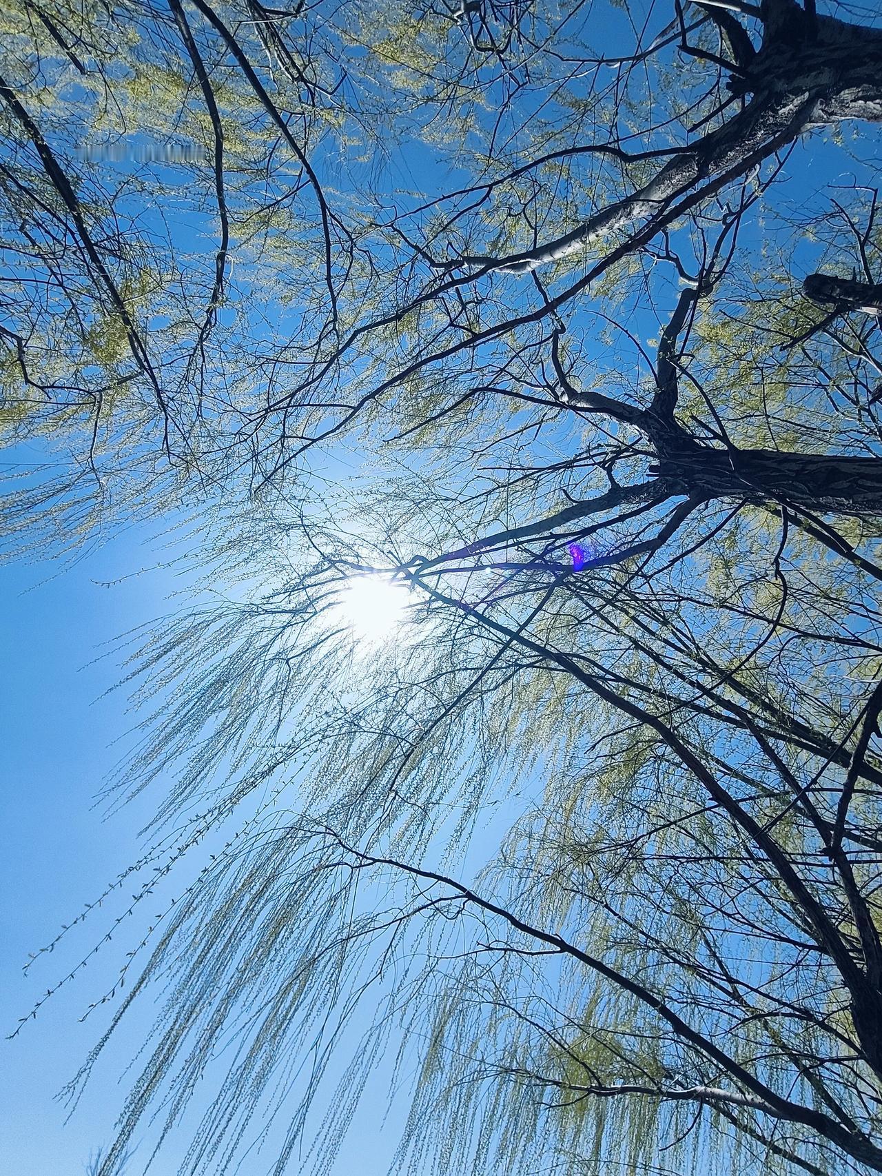 目前来看，普及高中教育应该没啥问题，但是划入到义务教育当中估计不太可能。
原因非