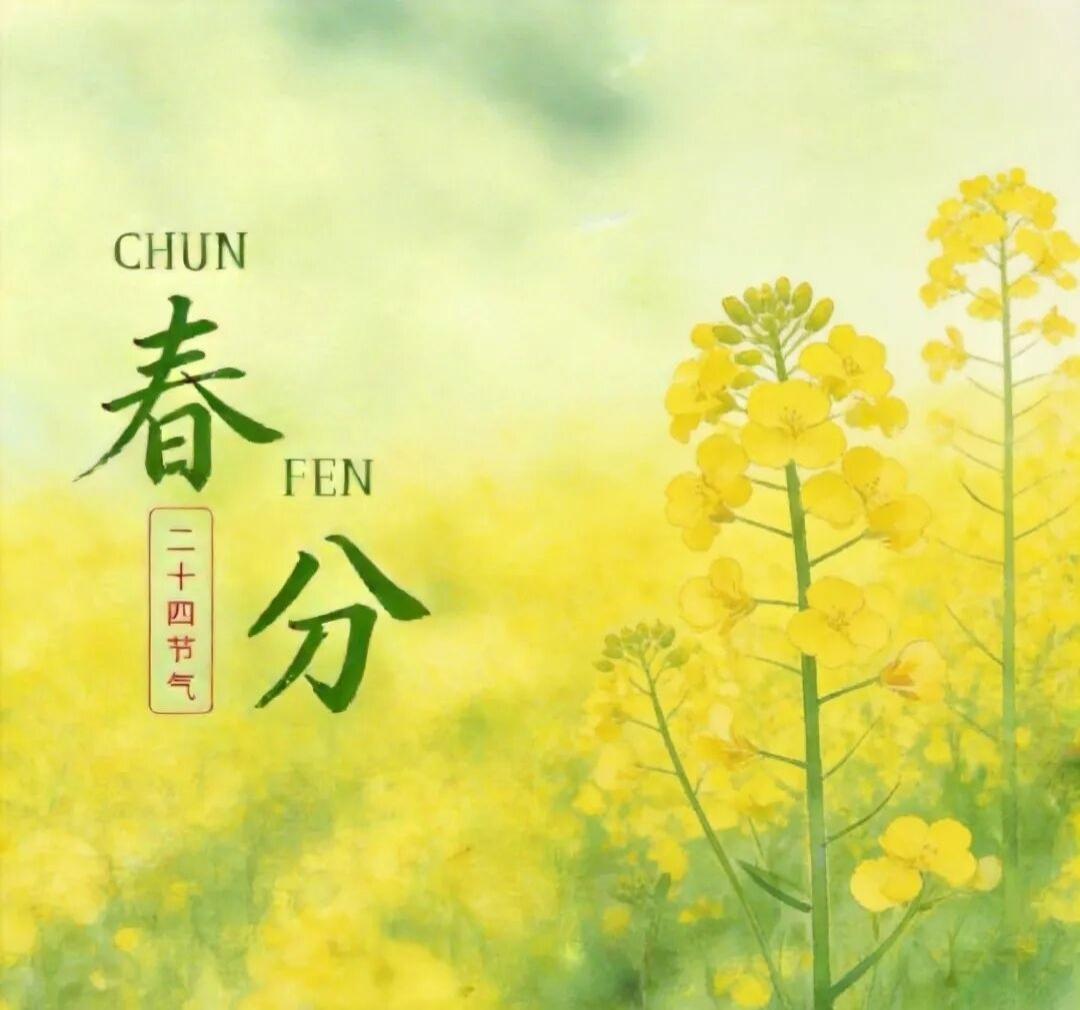 春分是二十四节气之一，通常在公历3月20日左右，其“分”字有两层含义：一是昼夜平