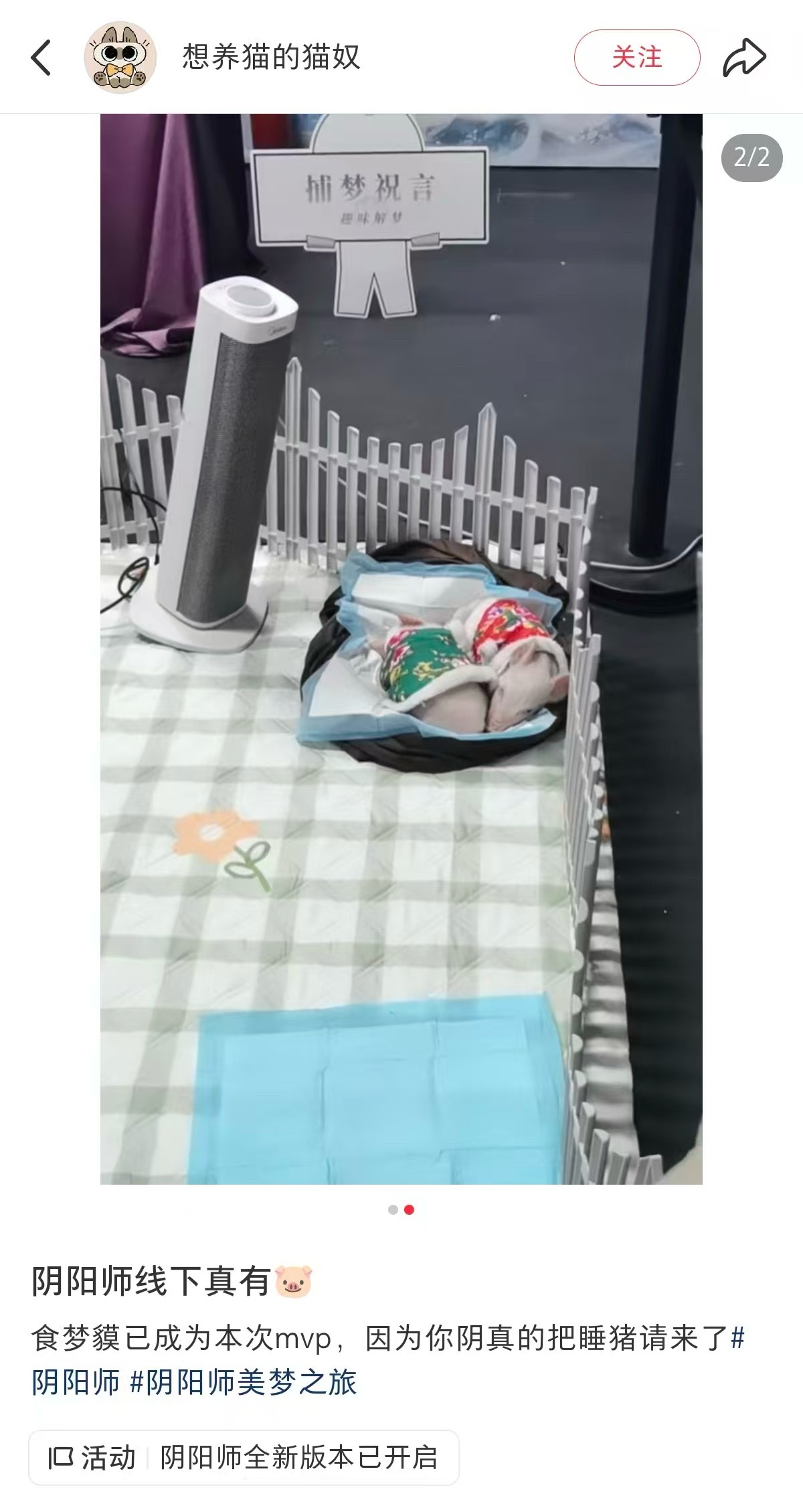 咦哒哒ki吗嘶～ 