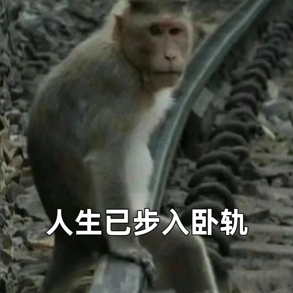 火象星座哪个最难谈？ ​​​