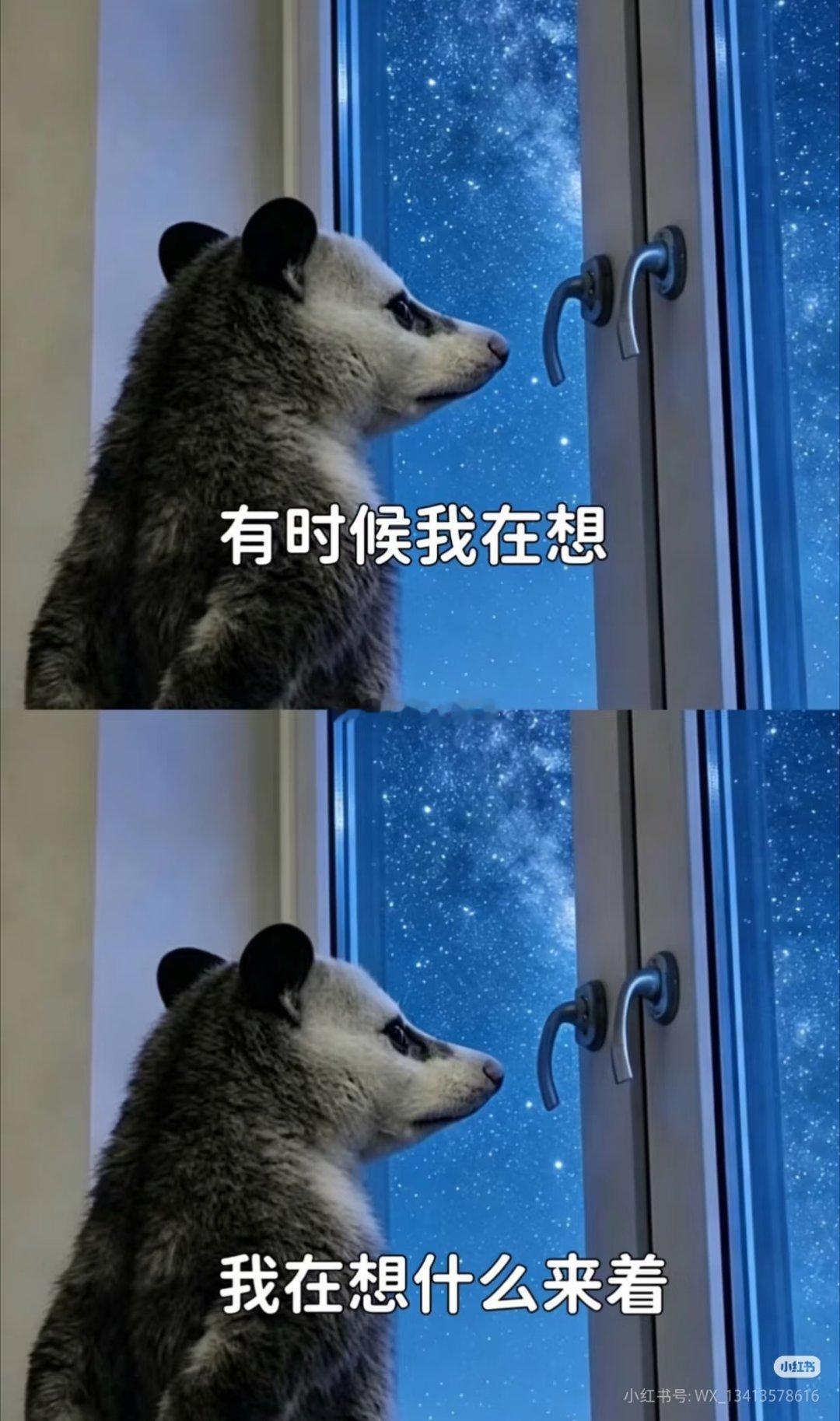 就国内当下的宏观环境，谈需求，AI硬件以外的行业肯定是一片羸弱。但我们判断商品价