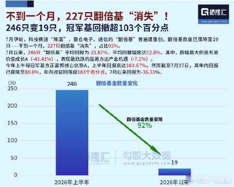 A股 7月伊始，科技赛道“降温”，重仓电子、通信的“翻倍基”普還遭重创。翻倍基数