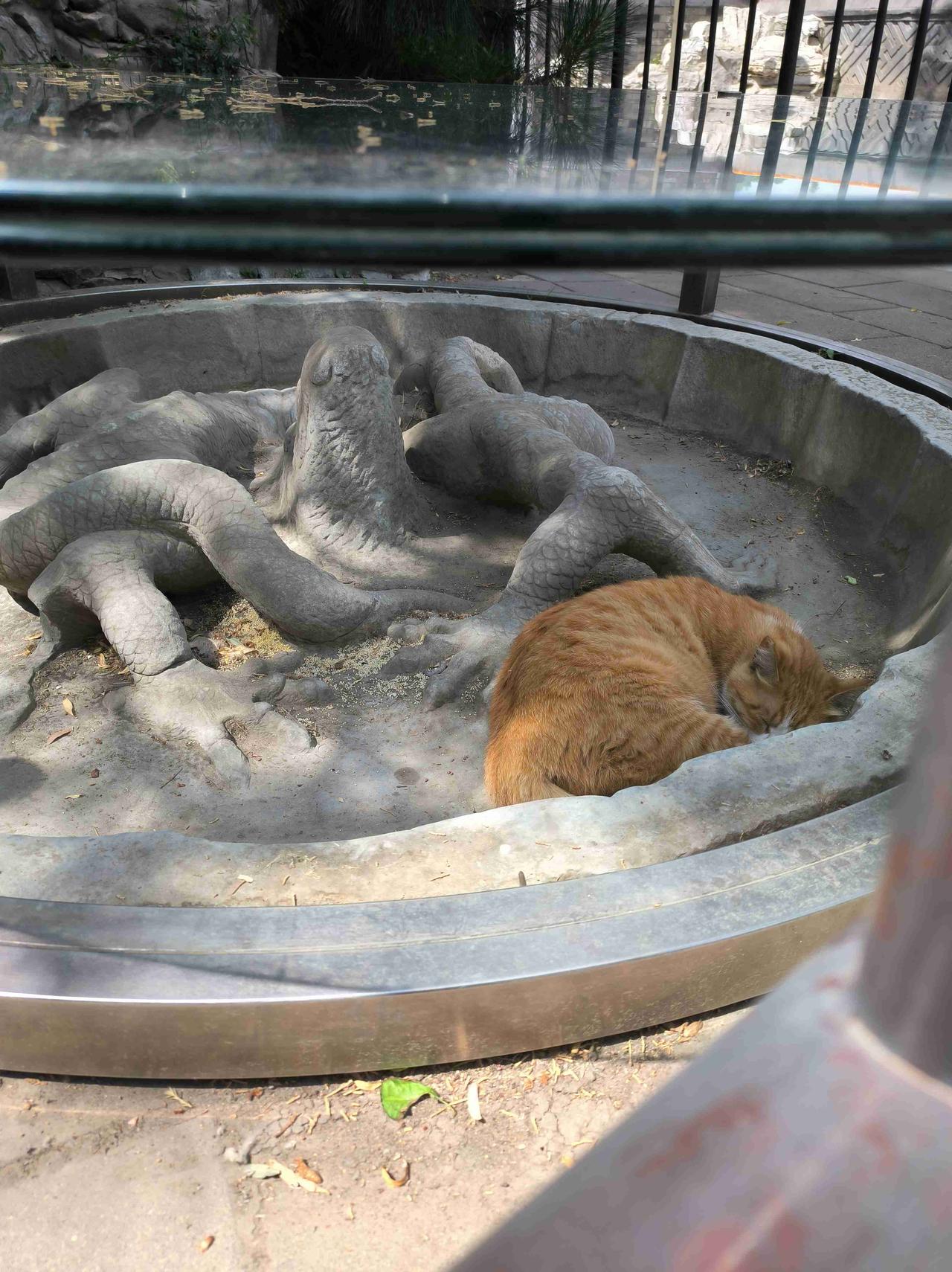 我的今日状态：🐯虎虎生威
我这里的天气：☁️阴天