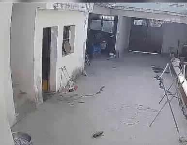 女子突然从楼梯上滚落到院子里，估计磕的不轻儿。
原认为女子楼梯踩空了，看到它跟着