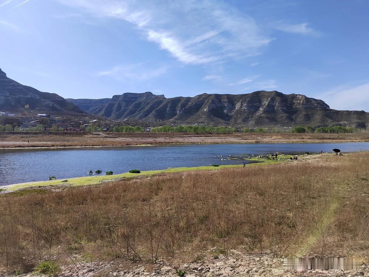 再次来到坡头村，只为买两条鲟鱼！冶河水缓缓北流，山峰依然耸立，河滩的草萌绿，平铺