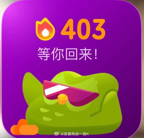 多邻国  403天