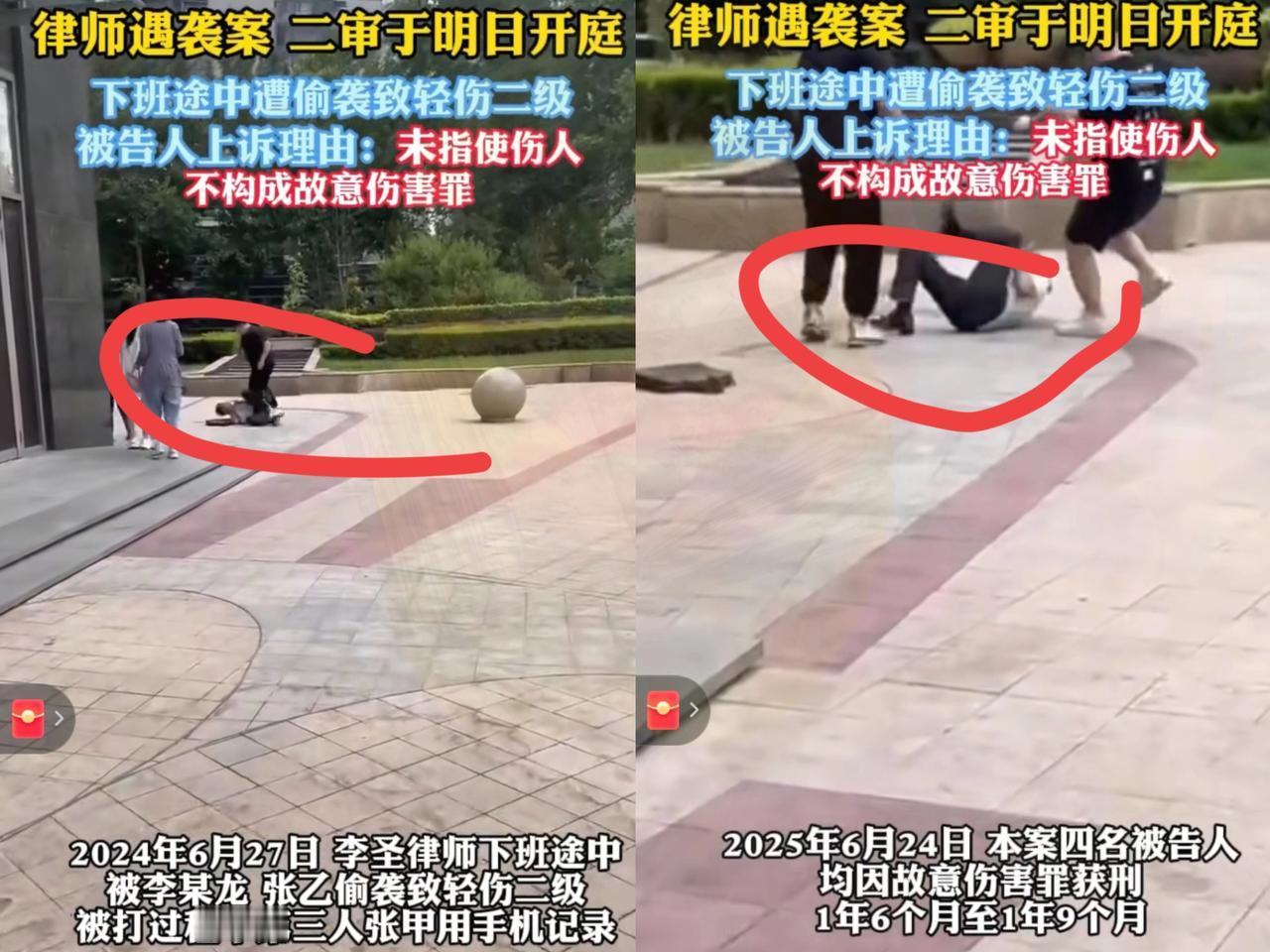 找到幕后金主了！
李圣律师肋骨被人打断，
真正的幕后黑手竟然是"四天王"？这情节