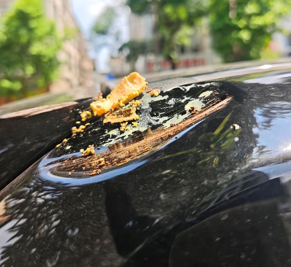 【北海合浦suv撞路边绿化树车顶凹了一块】近日，网友爆料称：北海合浦一辆suv越