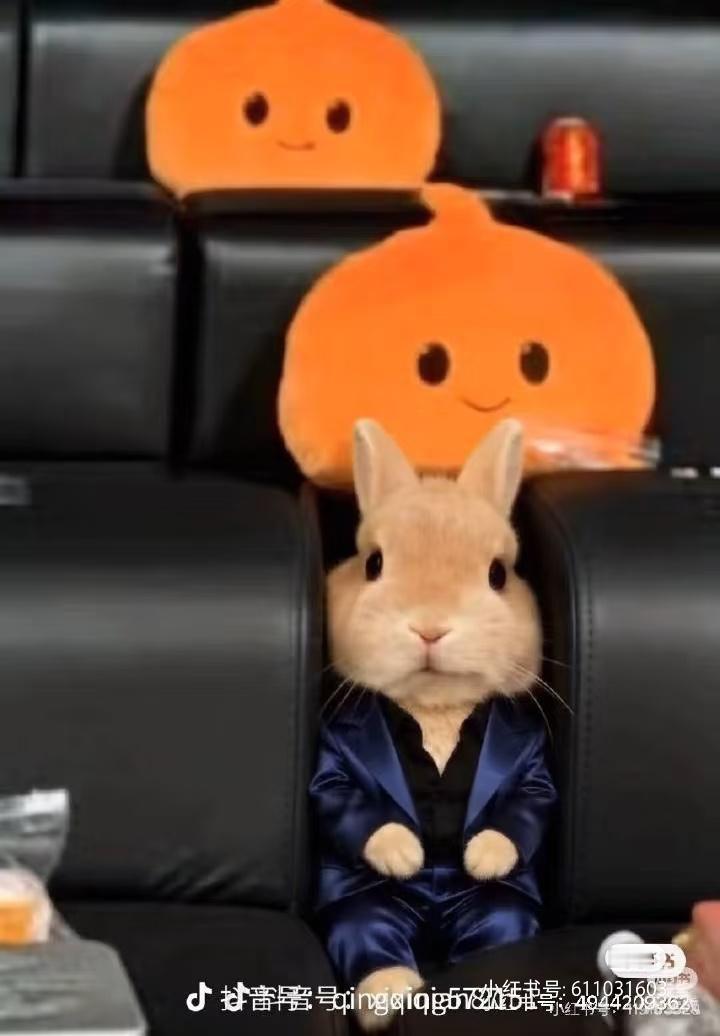 肖战微博之夜内场图 