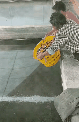 公共空间恣意实现个人的自由意志，大妈们这样放纵的放生该管管了。