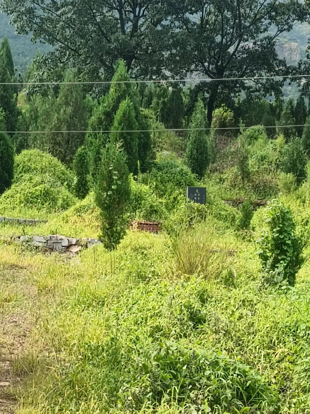 七月十五，中元节，我们这边叫做鬼节。是给先祖上坟祭拜的日子，自1999年没有了爸