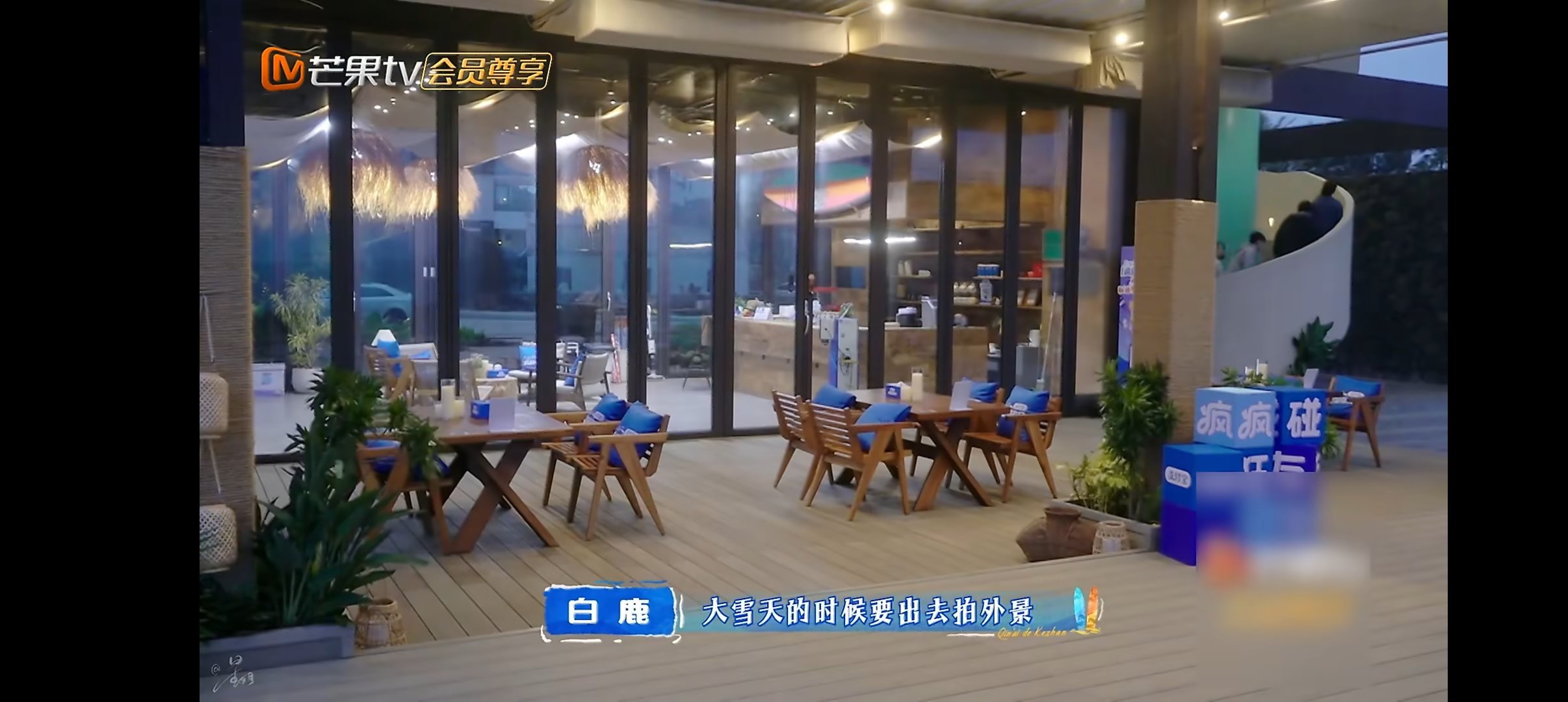 白鹿因为当模特患上风湿病 原来白鹿风湿这么重，走路都一跛一跛的，因为年轻的时候是