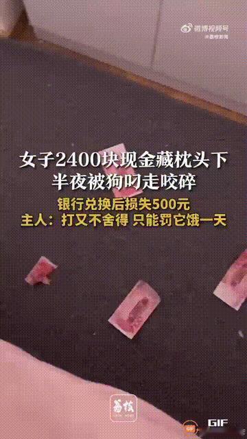 江西南昌一名女子将2400元现金用塑料袋装起来，然后藏在枕头下面，没想到半夜时分