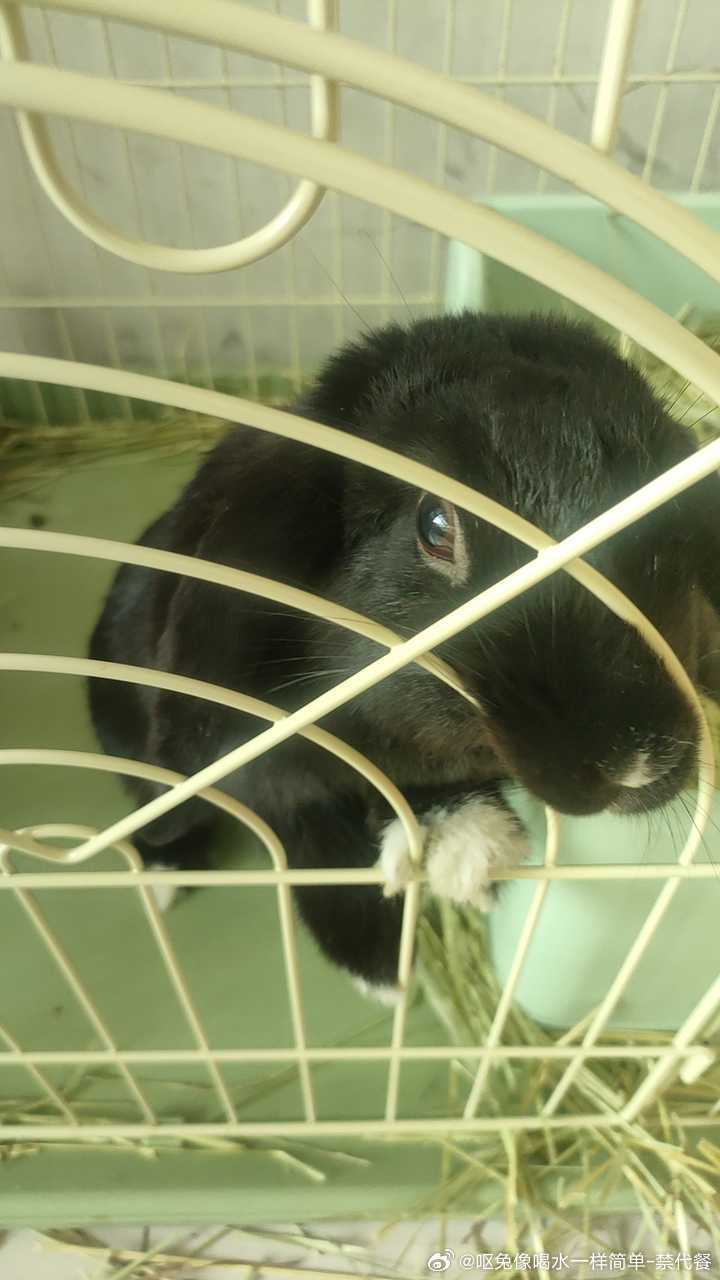 13609🐇【心灵丑】你就继续扒草妈妈挣钱一点也不苦不累