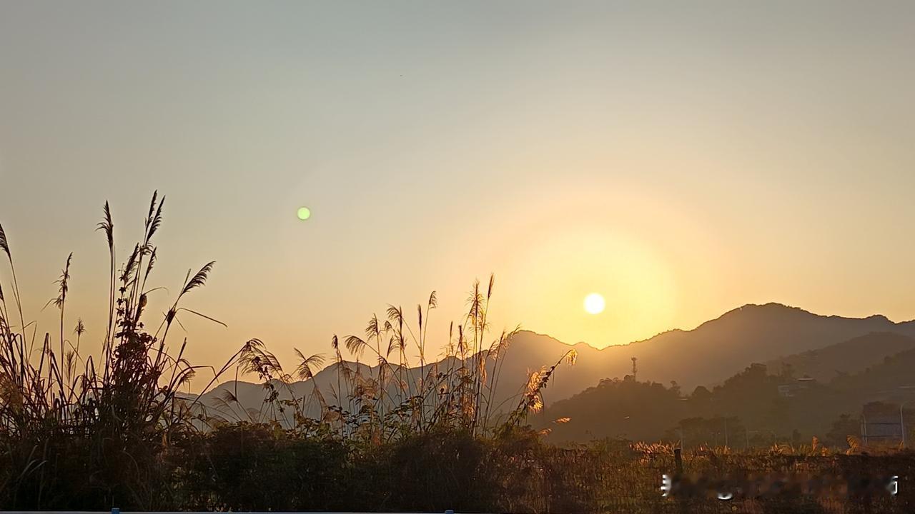 这几天的太阳🌞
真是让人充满希望