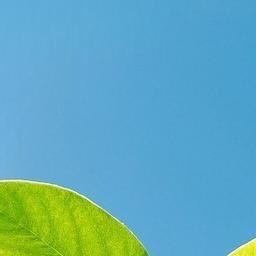 森林驿站  💫阳光信用  💫森林驿站 真正的高贵，应该是优于过去的自己，勇敢