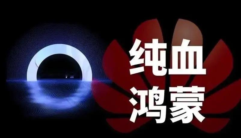 2025见证原生鸿蒙更新力量 1994年中国全功能接入国际互联网，开启互联网时代