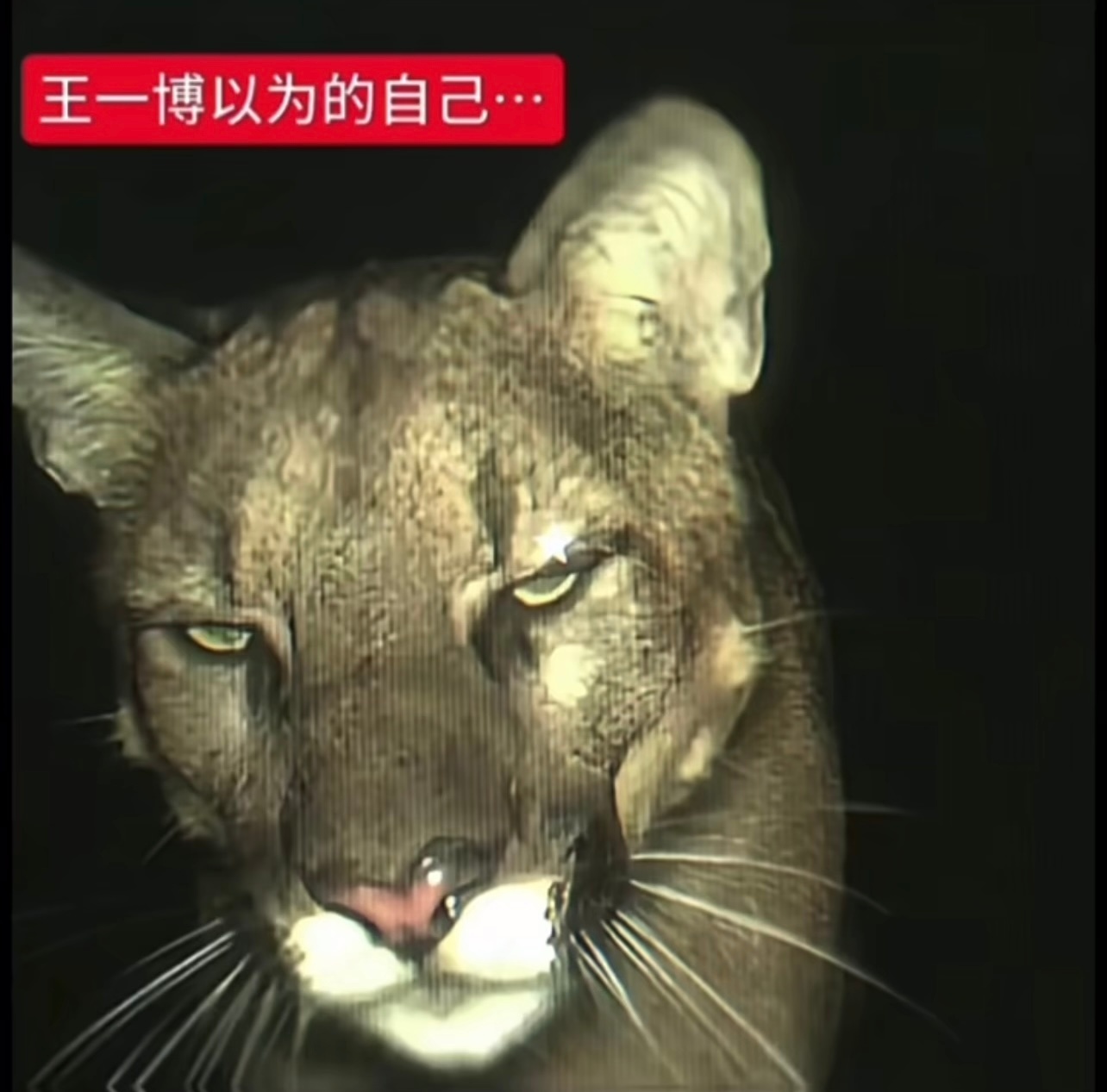 哈哈哈哈哈哈哈哈哈哈哈哈哈笑得