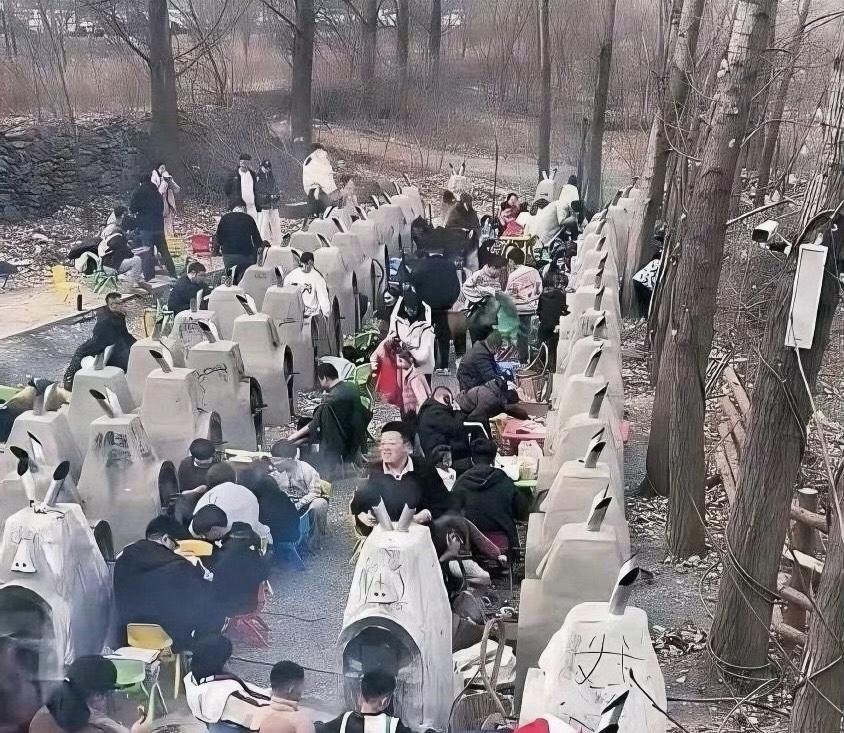 不仔细看的话，我以为在公墓