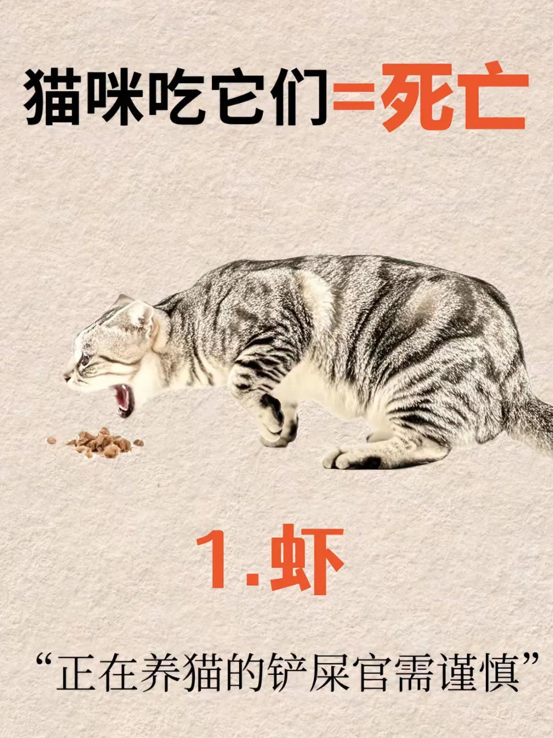 动物奇遇记动物奇趣  新手养猫这些事要记牢！疫苗按时打（2月+第一针，间隔28天