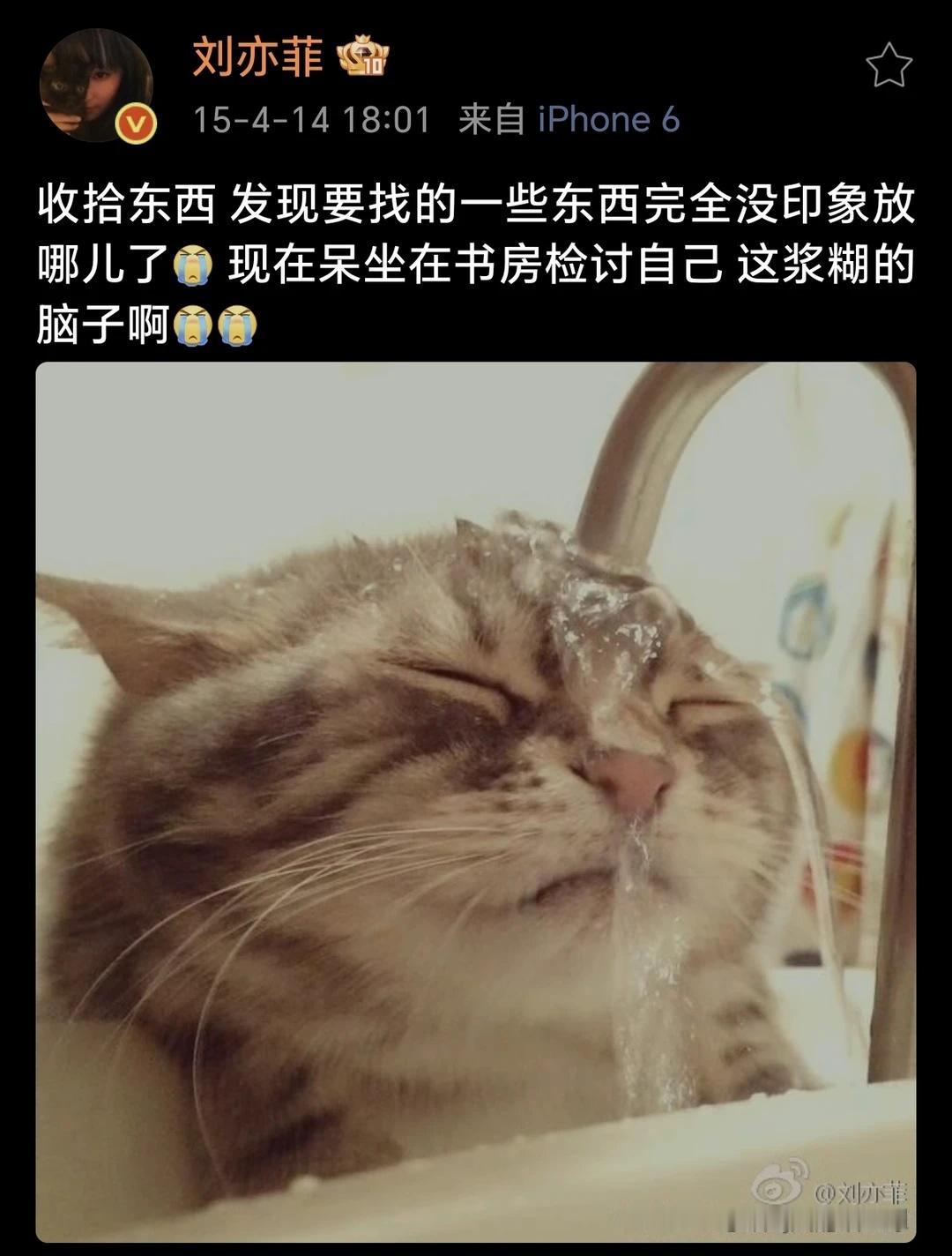 给大家分享茜茜有趣的微博吧[心]