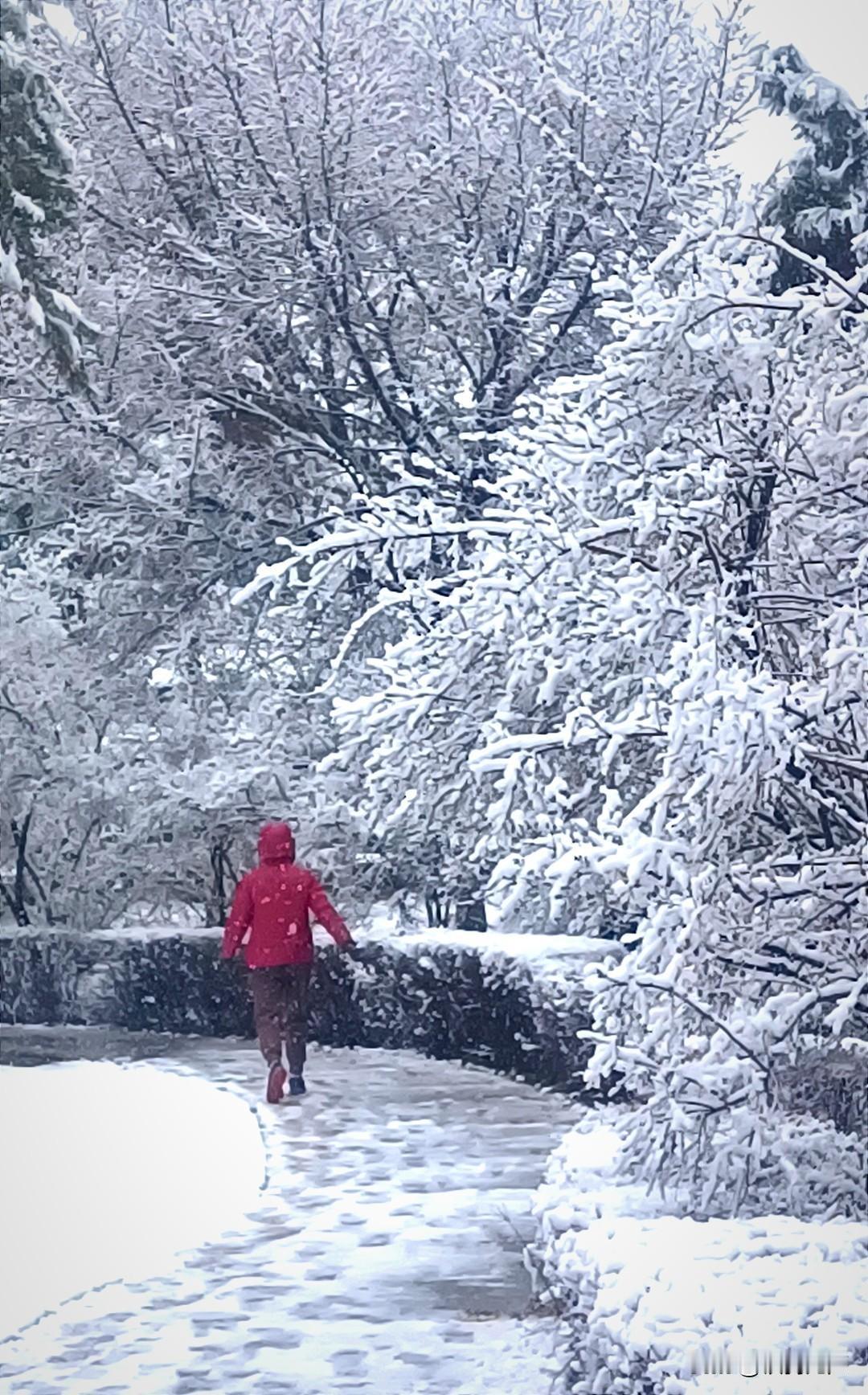王曼玉失败了，让人们惊恐、愤怒、不解。其实这都很正常，早已经露出了迹象，
所谓挠