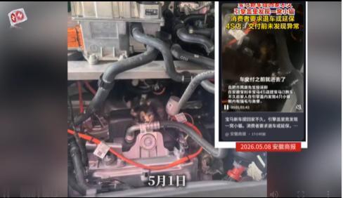 “这家4S店摊上事了！”浙江杭州，女子喜提宝马新车开回家，打开引擎盖竟发现4只小