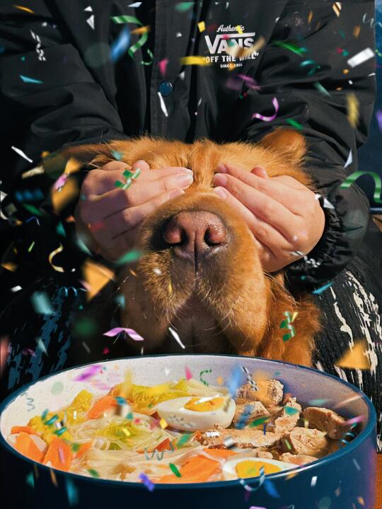 再次睁眼  就是4岁的小狗狗🐕咯